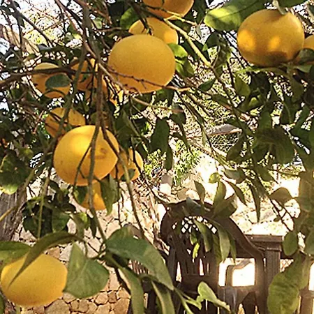 Casa El Condor * Mijas
